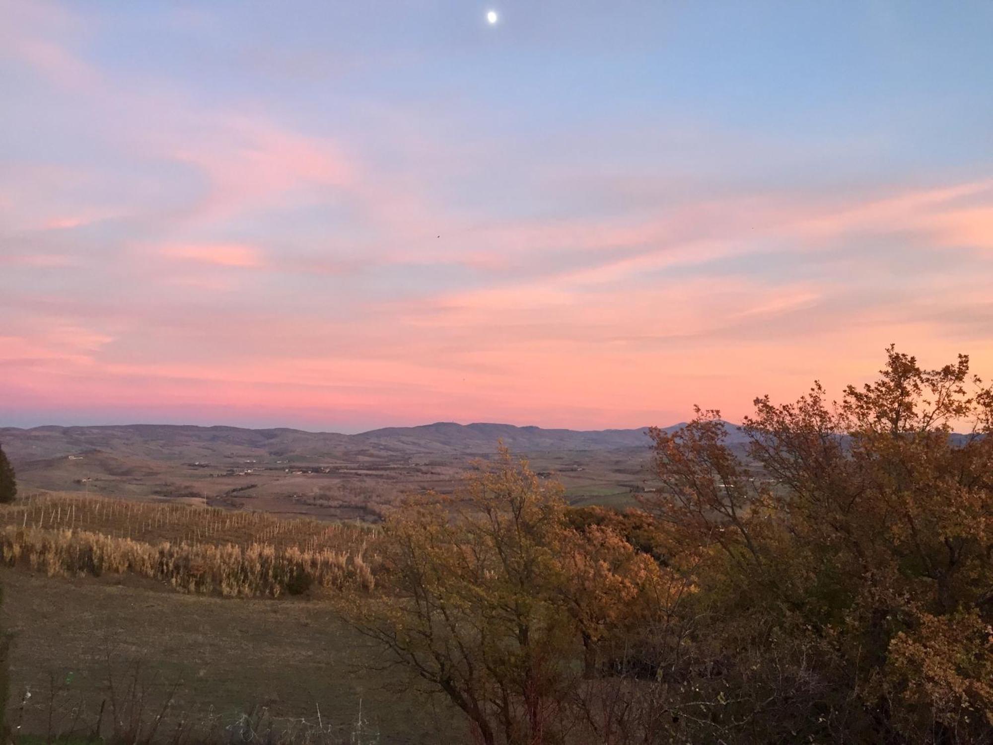 Agriturismo Le Querciole In Val D'Orcia Bagno Vignoni Eksteriør billede