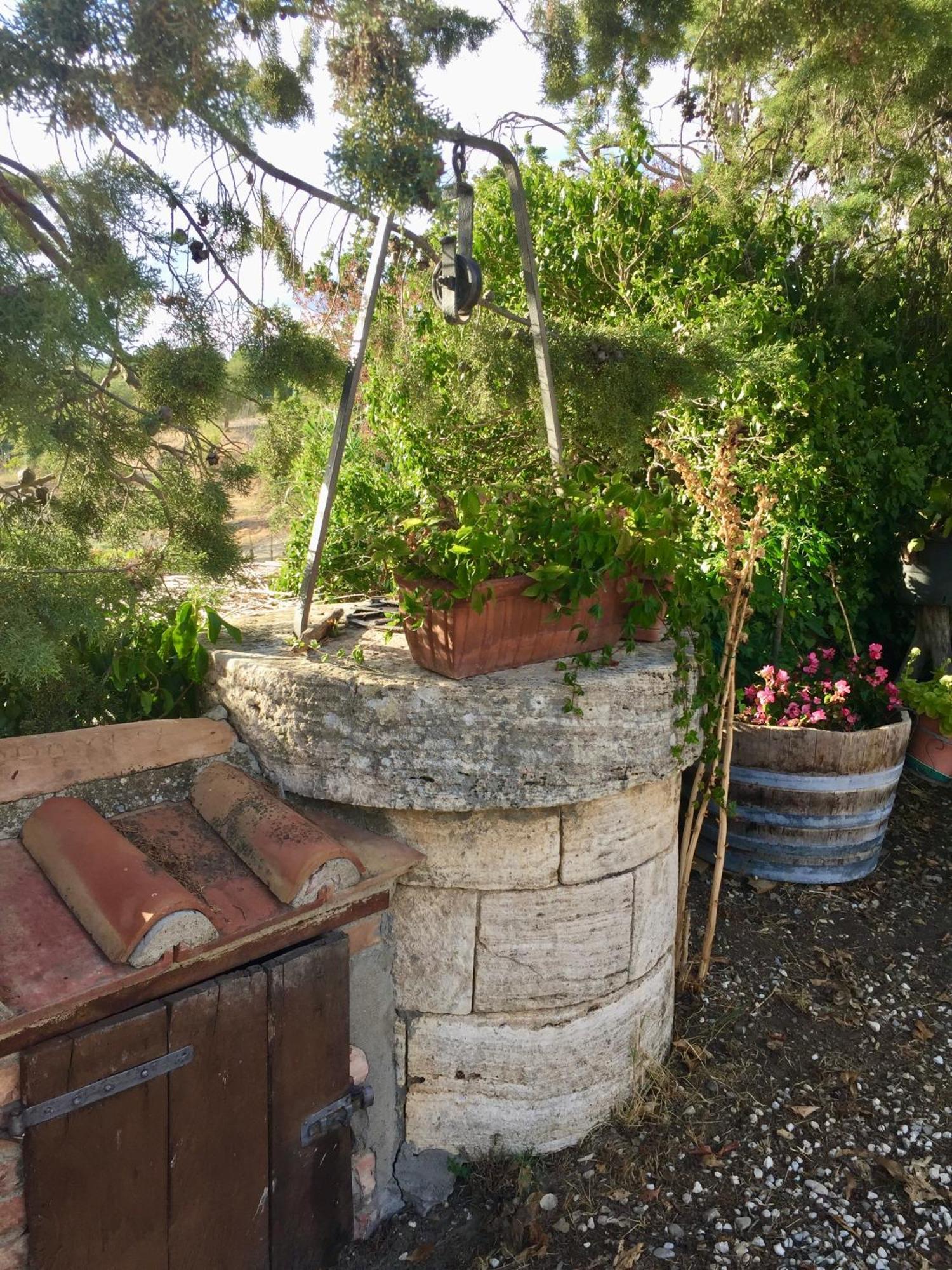 Agriturismo Le Querciole In Val D'Orcia Bagno Vignoni Eksteriør billede