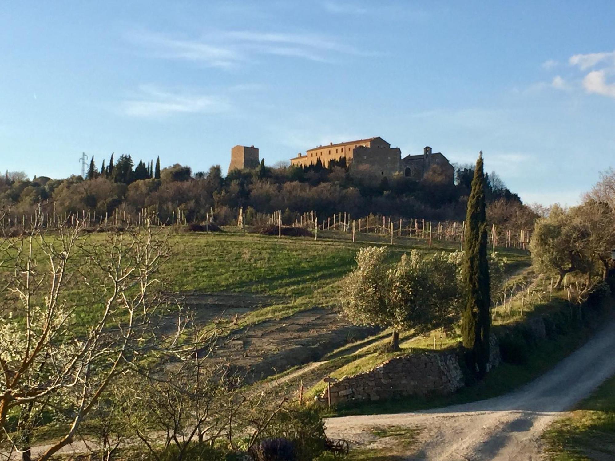 Agriturismo Le Querciole In Val D'Orcia Bagno Vignoni Eksteriør billede