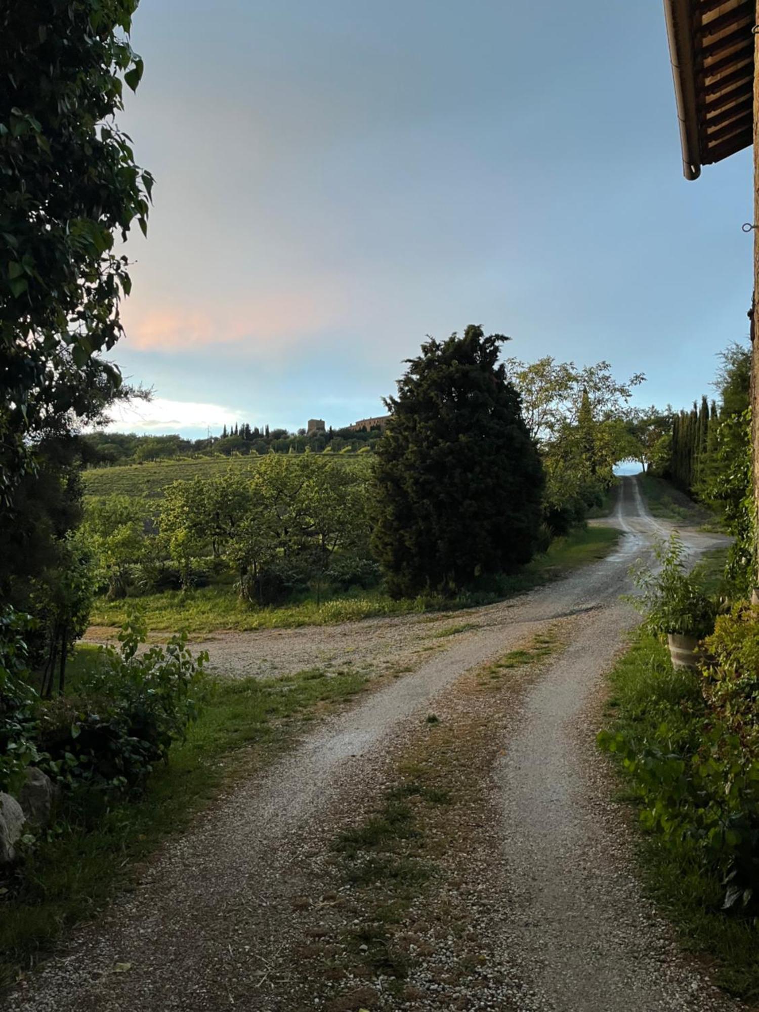 Agriturismo Le Querciole In Val D'Orcia Bagno Vignoni Eksteriør billede
