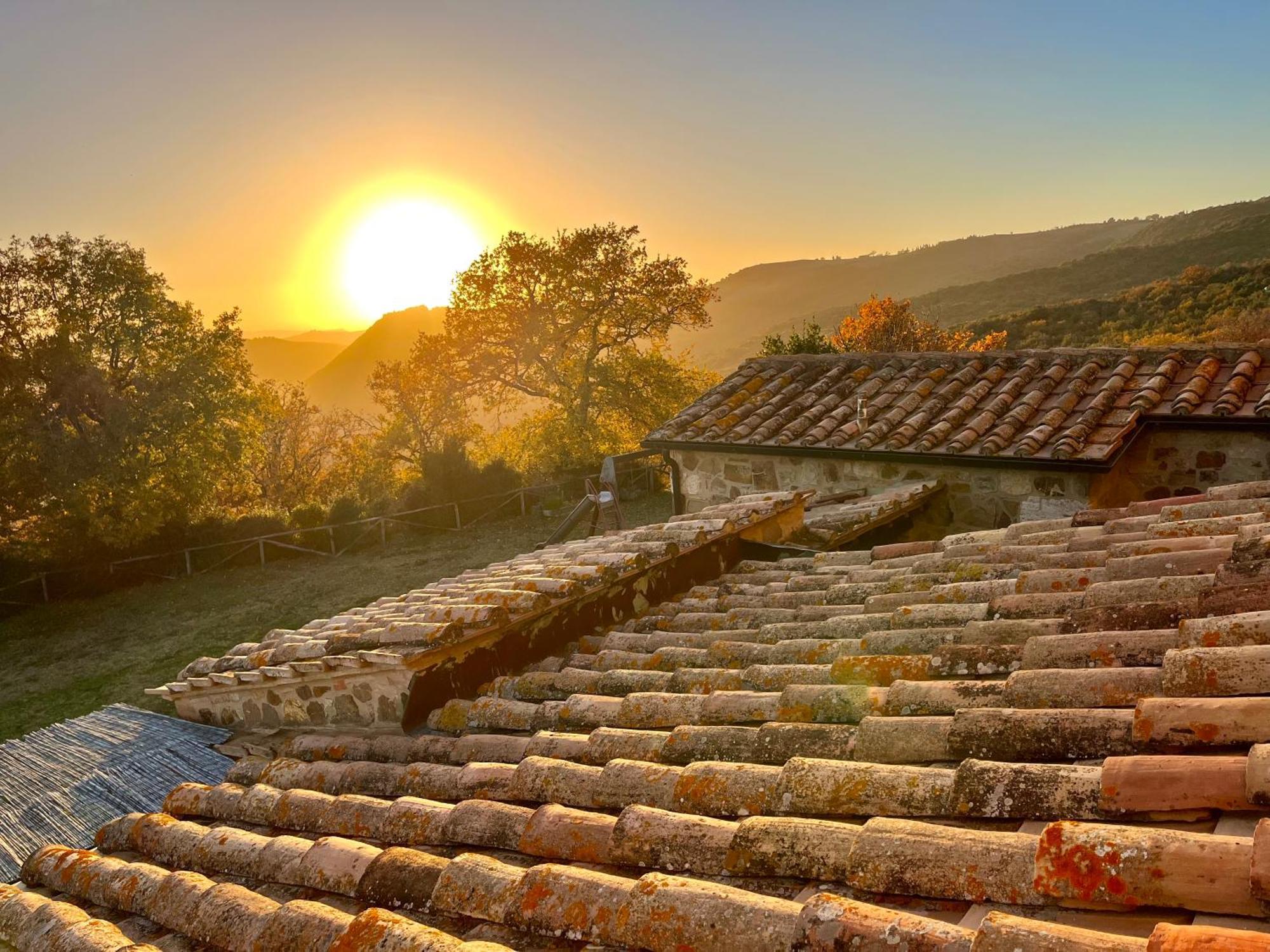 Agriturismo Le Querciole In Val D'Orcia Bagno Vignoni Eksteriør billede