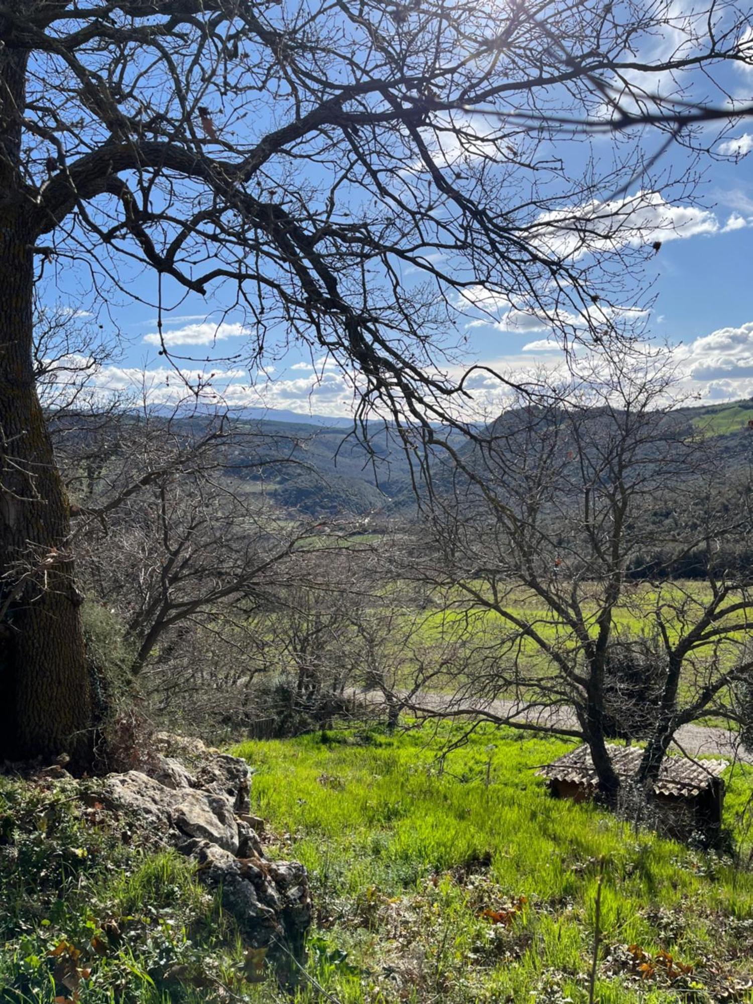 Agriturismo Le Querciole In Val D'Orcia Bagno Vignoni Eksteriør billede